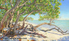 Sea Grape Embrace 36"x60"